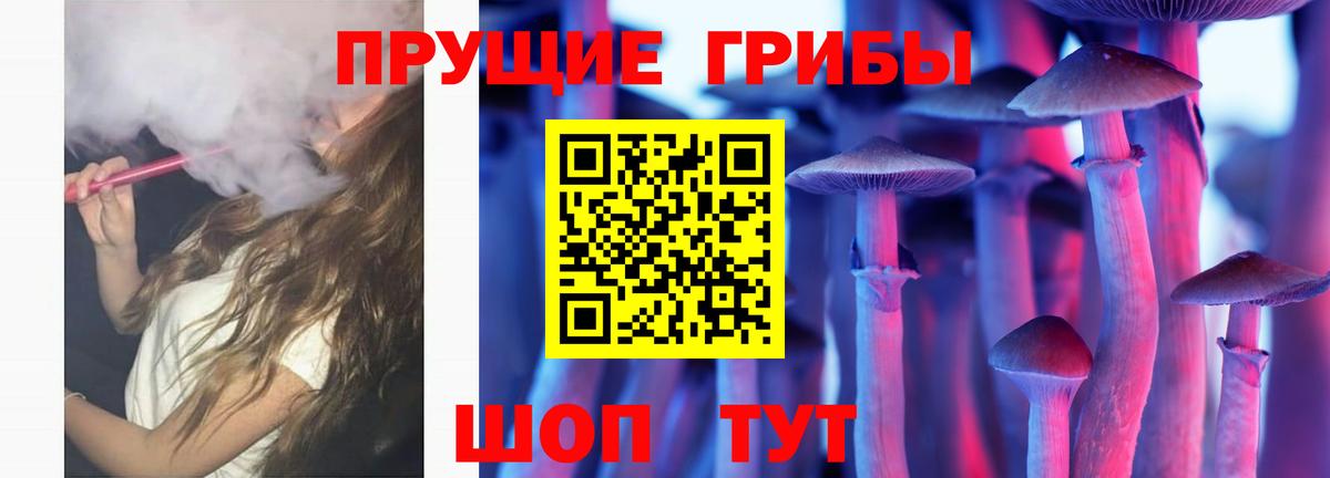 Псилоцибиновые грибы прущие грибы Вышний Волочёк